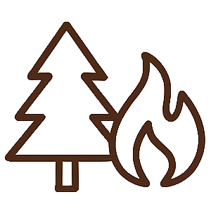 Evergreen + Ember