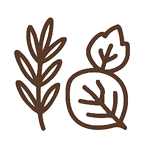 Rosemary Mint