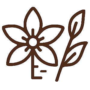 Vanilla + Birch